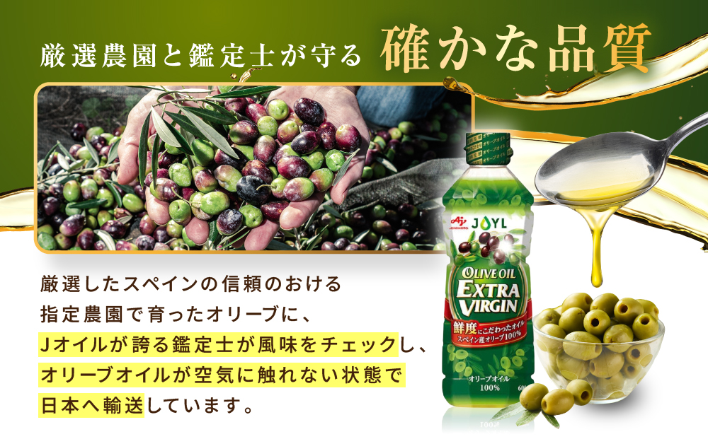 JOYL オリーブオイル エクストラバージン 600g ペット 2本
