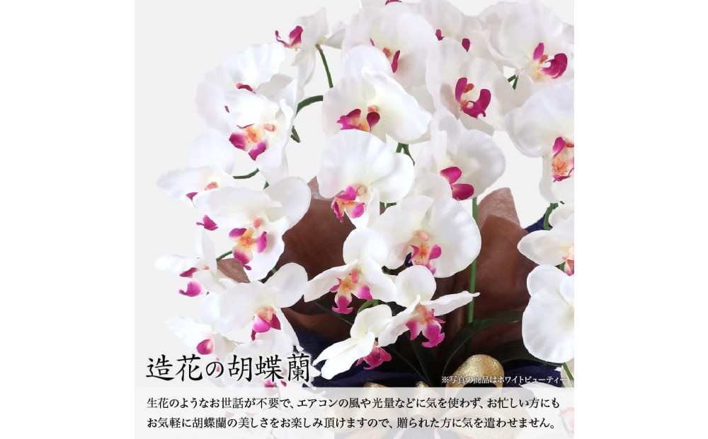 譫ッ繧後↑縺繧「繝シ繝繧」繝輔ぅ繧キ繝」繝ォ繝輔Λ繝ッ繝シ 閭。陜カ陂ュ 3譛ャ遶九■ 繝帙Ρ繧、繝医ン繝・繝シ繝繧」SC隗ヲ蟐貞刈蟾・貂