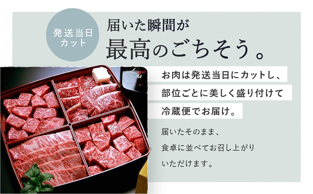 縲仙キ阡オ萓ソ縲代占セー螻九醍・樊虻迚 辟シ閧画千浹 4遞ョ 鬟溘∋豈斐∋ 繧サ繝繝 險800g