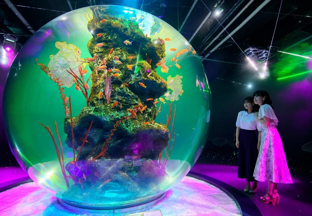 AQUARIUM テ ART atoa縲蜈・蝣エ蠑墓鋤蛻クシ2蜷肴ァ假シ