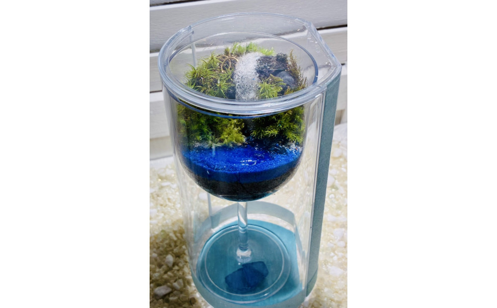 逾樊虻縺九i縺ョ鬚ィ