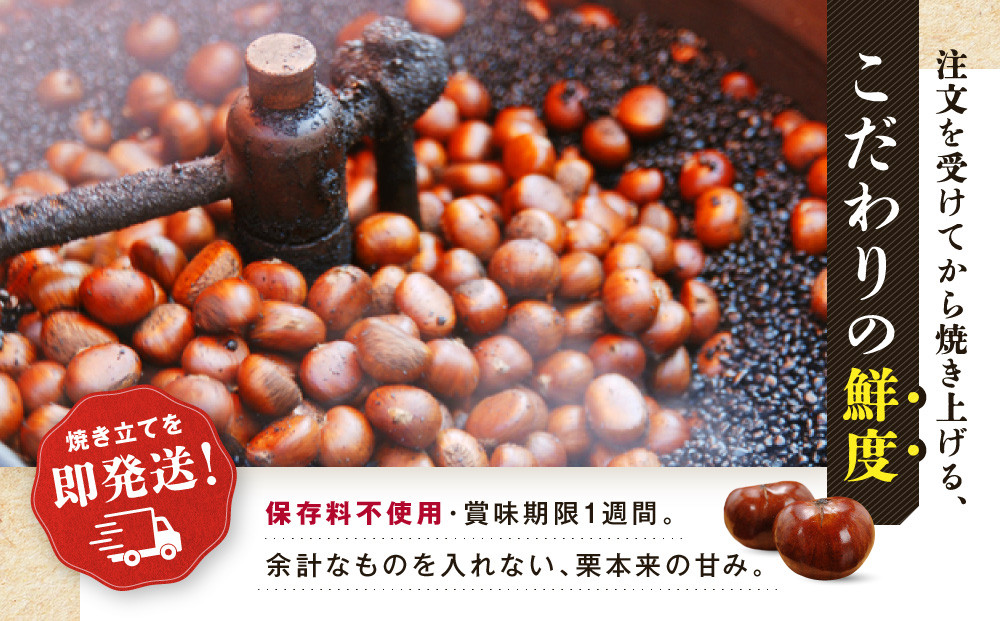 無添加 大粒天津甘栗 7kg 【沖縄県・離島配送不可】