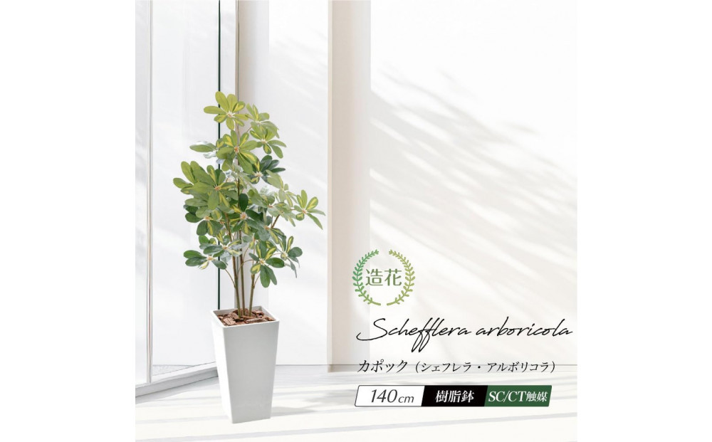 人工観葉植物 カポック斑入り 140cm 樹脂鉢Lサイズ白 SC触媒加工済