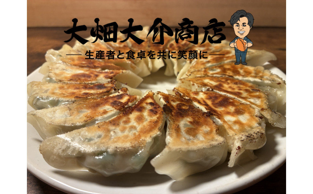 【京阪百貨店厳選】大畑大介商店オリジナル　ダイスケのジャンボねぎ餃子 10個×2P