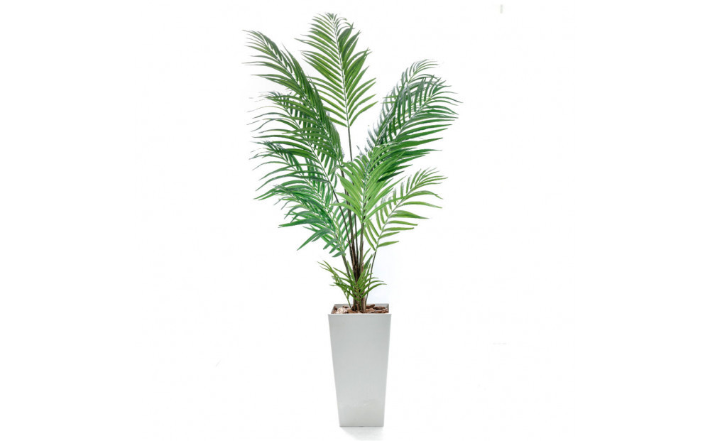 人工観葉植物 アレカパーム175cm 樹脂鉢Lサイズ白 SC触媒加工済