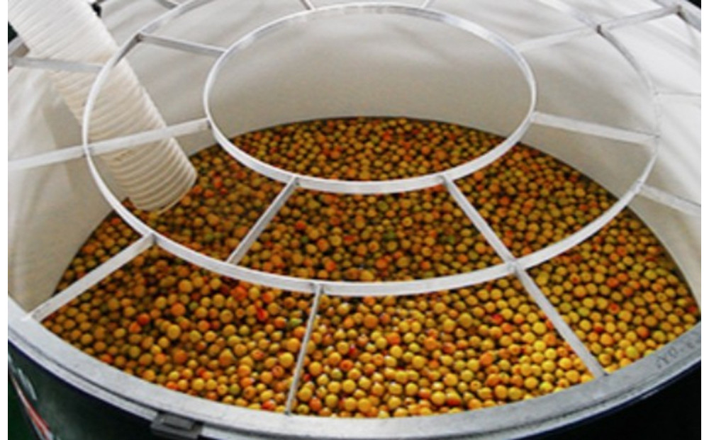 逋ス鮓エ 譴驟貞次驟 720ml逑カ x 2譛ャ