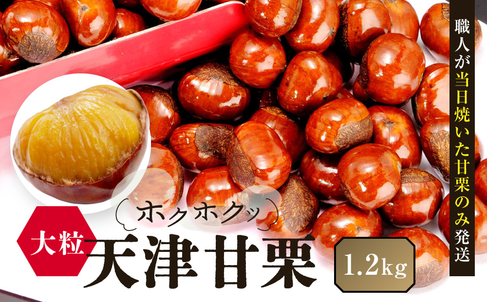 無添加 大粒天津甘栗 1.2kg 【沖縄県・離島配送不可】
