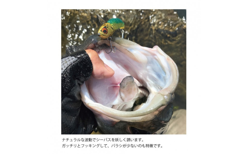 コアマン VJ-16バイブレーションジグヘッド KOBEスペシャルパッケージ 3個セット