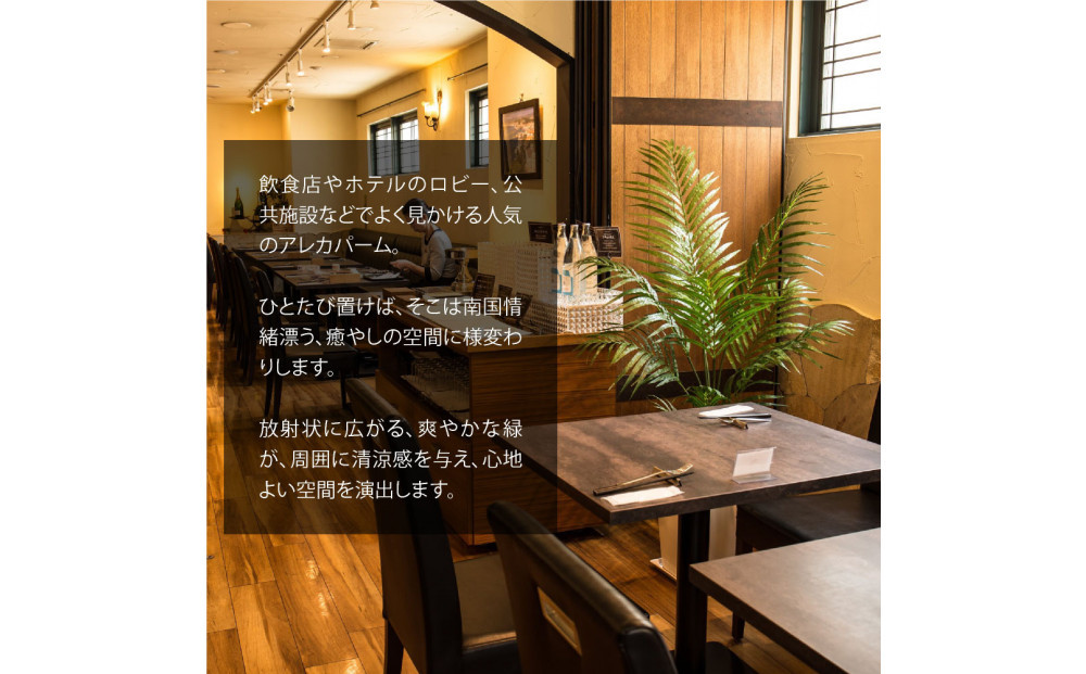 莠コ蟾・隕ウ闡画、咲黄 繧「繝ャ繧ォ繝代シ繝140cm 讓ケ閼る欧M繧オ繧、繧コ逋ス SC隗ヲ蟐貞刈蟾・貂