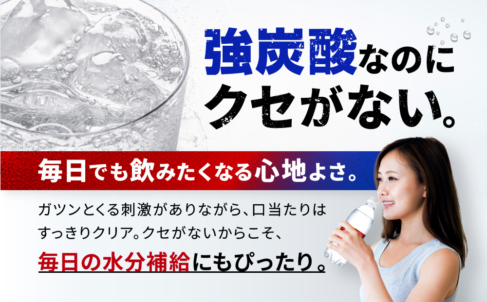 アサヒ飲料 ウィルキンソン タンサン+レモン各1箱セット（500mlペットボトル×24本×2箱）