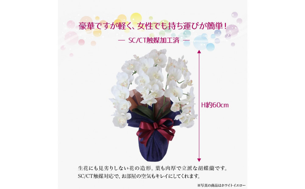 譫ッ繧後↑縺繧「繝シ繝繧」繝輔ぅ繧キ繝」繝ォ繝輔Λ繝ッ繝シ 閭。陜カ陂ュ 3譛ャ遶九■ 繝帙Ρ繧、繝医う繧ィ繝ュ繝シ SC隗ヲ蟐貞刈蟾・貂