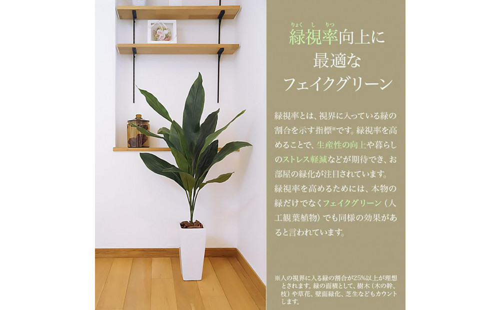 莠コ蟾・隕ウ闡画、咲黄 繧ォ繝昴ャ繧ッ譁大・繧 160cm 讓ケ閼る欧L繧オ繧、繧コ逋ス SC隗ヲ蟐貞刈蟾・貂