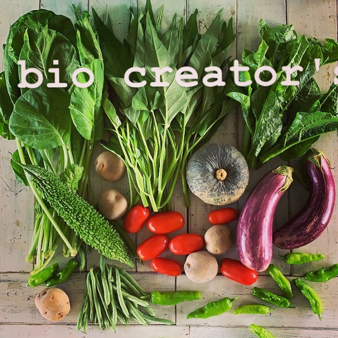 逾樊虻縺ァ閧イ縺」縺滓怏讖滄手除繧サ繝繝