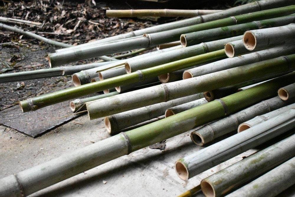 ã±ãã£ãšããã¥ã©ã«ç³é¹žïŒ2åã»ããïŒãç¥æžãSDGsãåç²§åã竹çã銬油