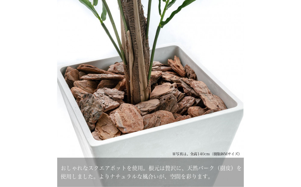 莠コ蟾・隕ウ闡画、咲黄 繧「繝ャ繧ォ繝代シ繝140cm 讓ケ閼る欧M繧オ繧、繧コ逋ス SC隗ヲ蟐貞刈蟾・貂