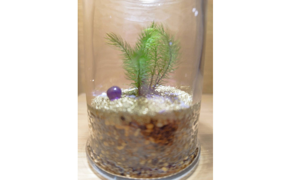 KOBE縲COLORS縲ス朶TONE & MOSSス