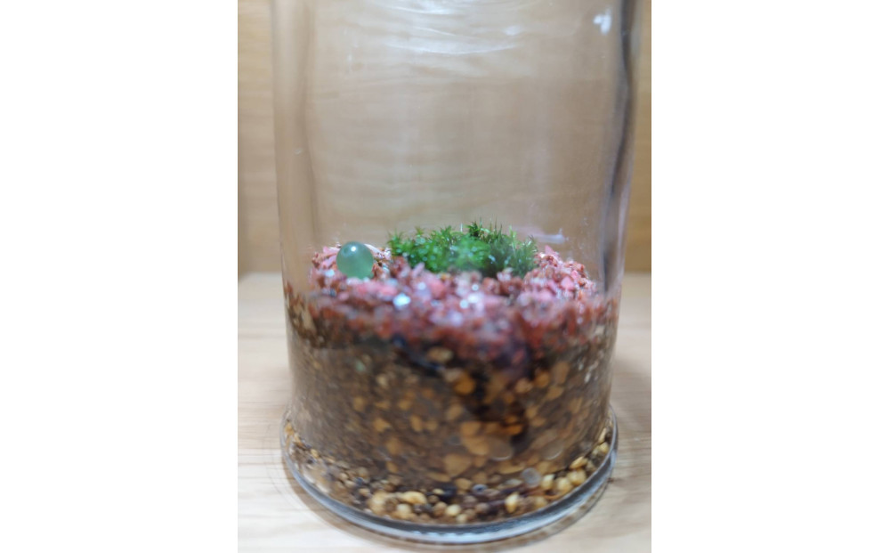 KOBE縲COLORS縲ス朶TONE & MOSSス