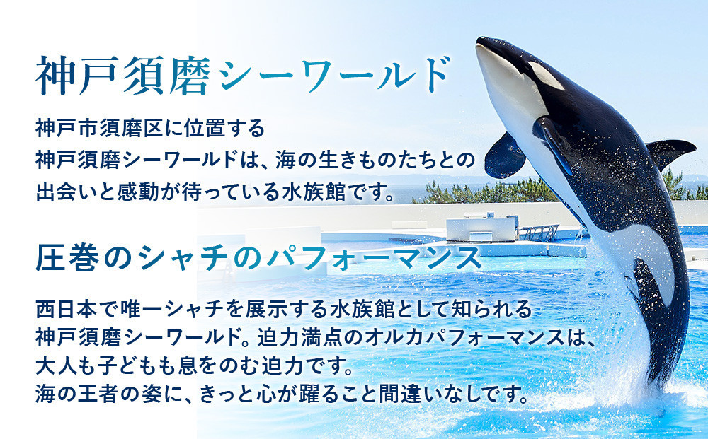 神戸須磨シーワールド入場券　3枚セット（有効期限：2026年4月1日～9月30日）
