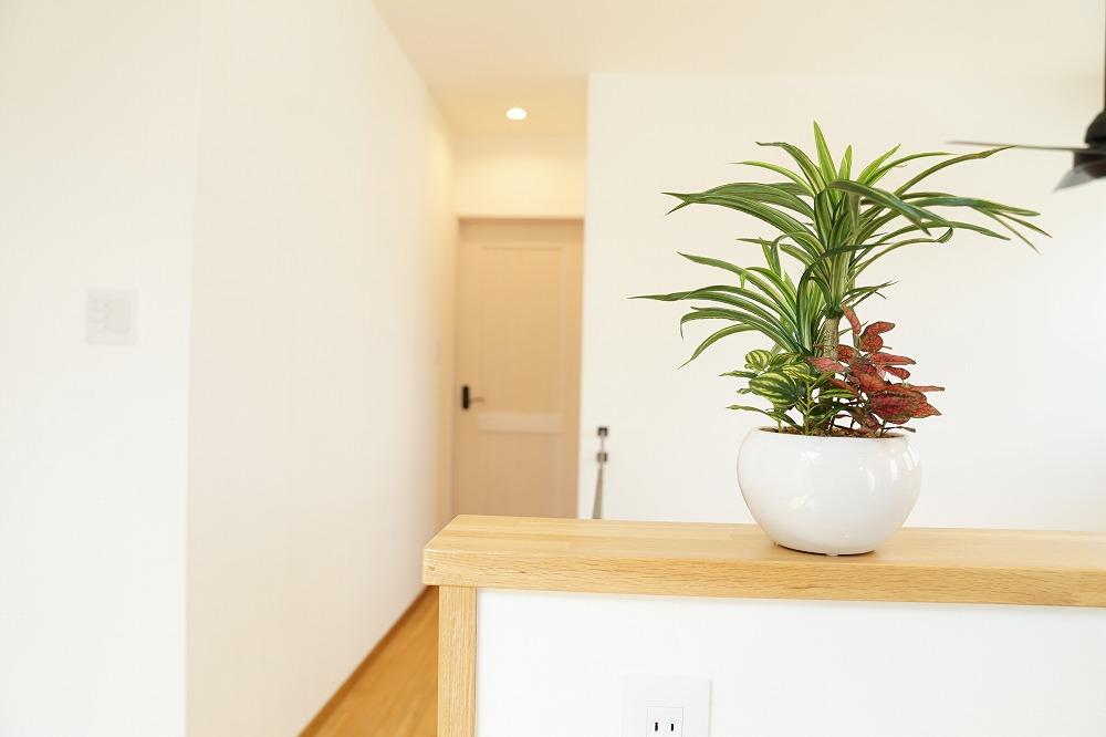 人工観葉植物　ユッカ寄せ植えジャングルポット