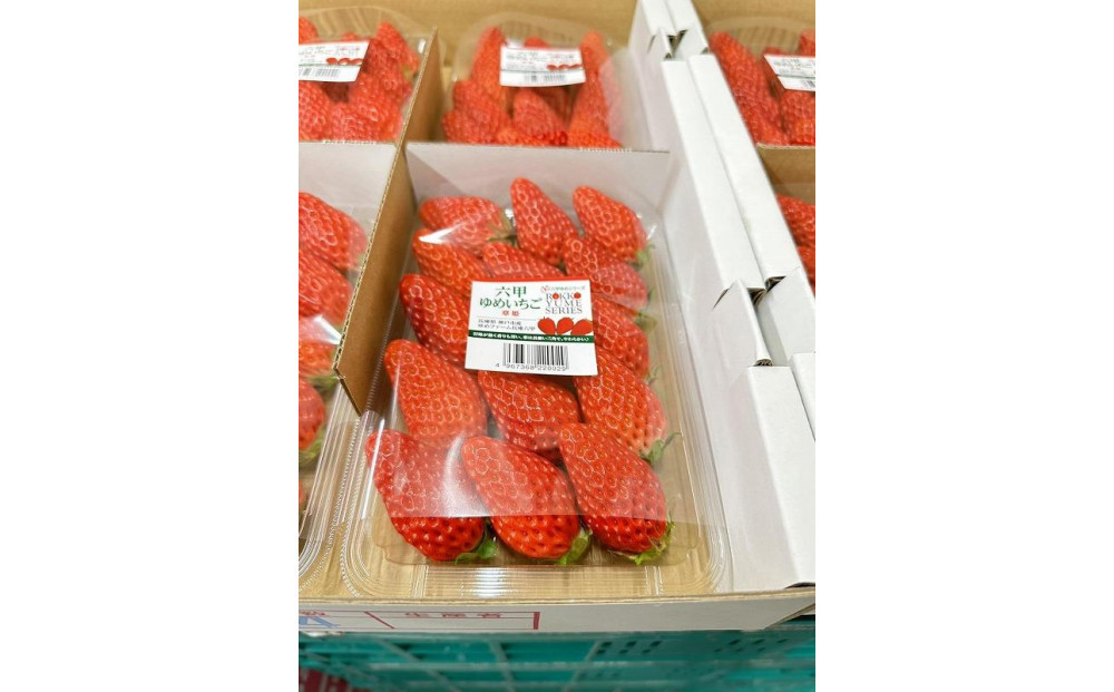 六甲ゆめいちご1箱 約250g×4パック