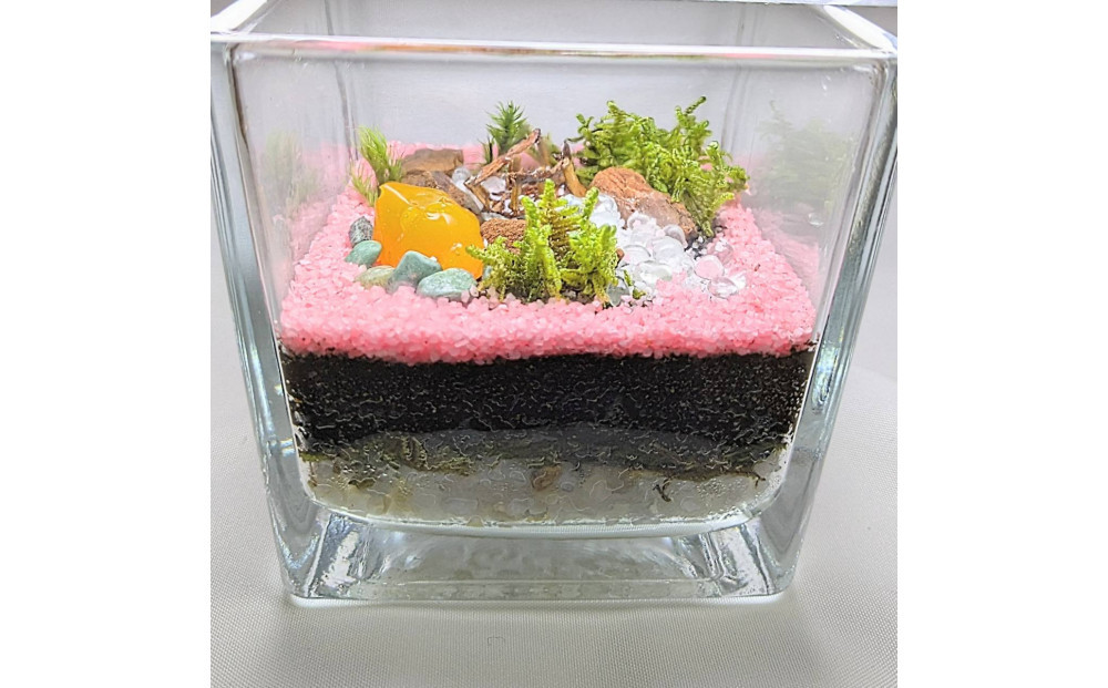 ととのいの湯、テラリウムにて