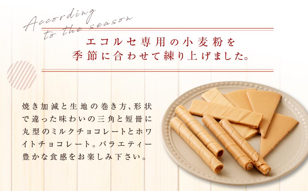 ãæ¬é«ç å±ããšã³ã«ã»ãE30