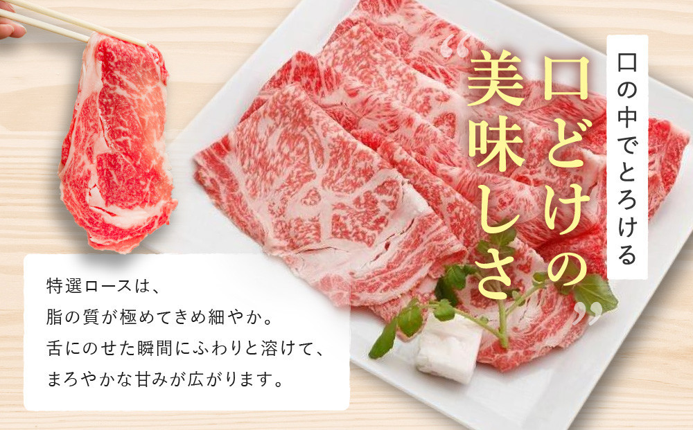 縲仙キ阡オ萓ソ縲代占セー螻九醍・樊虻迚 繝ュ繝シ繧ケ 縺吶″辟シ縺 / 縺励c縺カ縺励c縺カ逕ィ 900gシ医◆縺」縺キ繧顔エ5縲6莠コ蜑搾シ