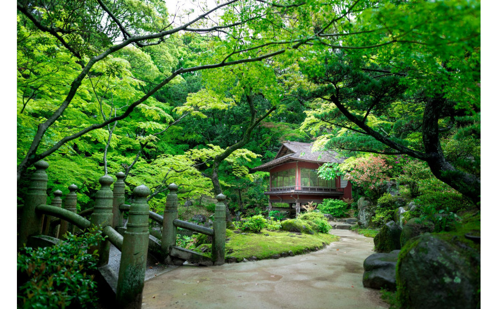 ç¥æžè¿è³é€š æ§è¥¿å°Ÿéž ã®ããåž 3,000å