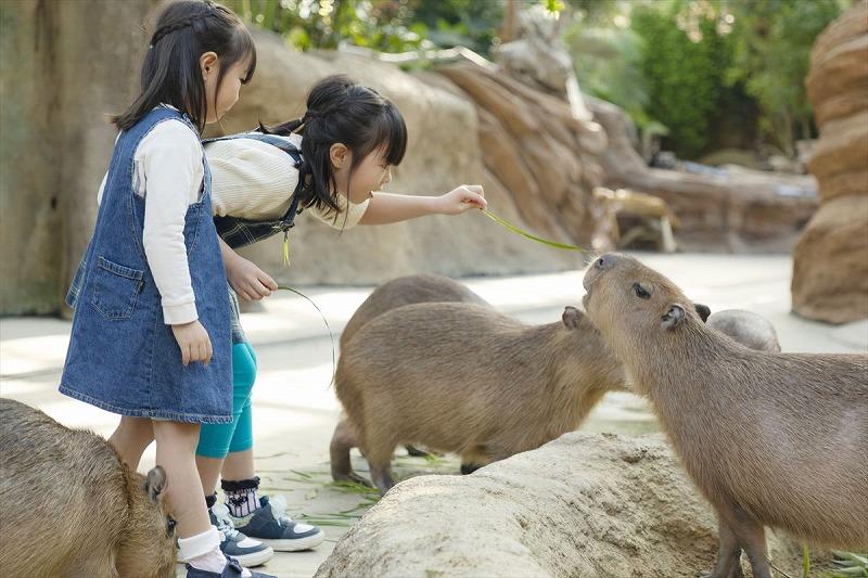逾樊虻縺ゥ縺縺カ縺、邇句嵜 蜈・蝨貞虻(シ貞錐讒伜)