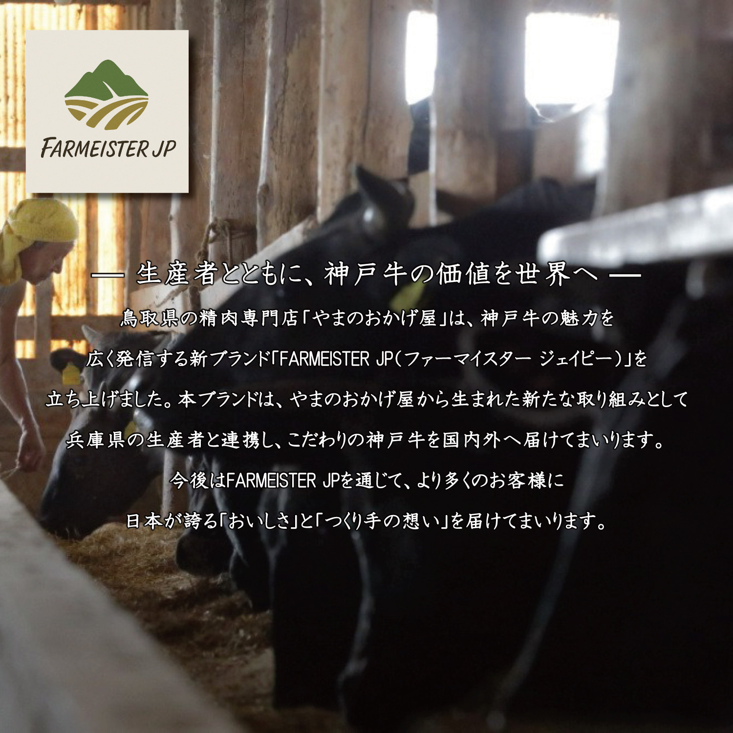神戸牛 純但馬うすなが牛 リブローススライス500g【うすなが牧場】FU1