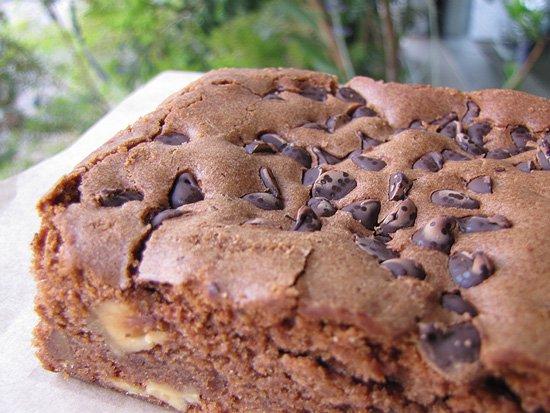 ãLâAVENUEïŒ ã©ãŽãã¥ãŒ ïŒãBROWNIES+COCONUTS BLONDIES ãã©ãŠããŒ+ã³ã³ãããããã³ãã£