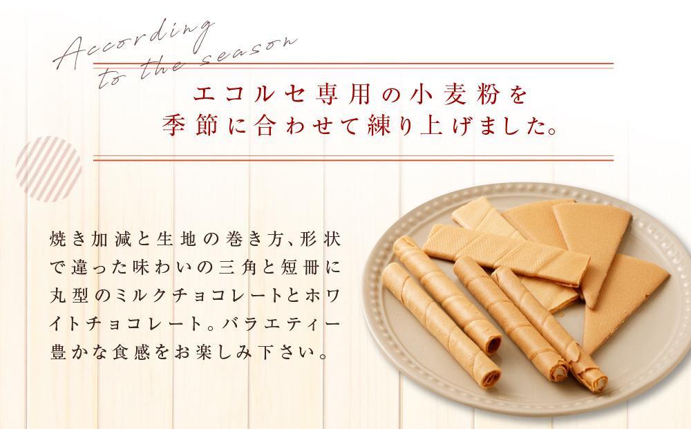 ãé«å³¶å±éžå®åãïŒæ¬é«ç å±ïŒãšã³ã«ã»ãE30