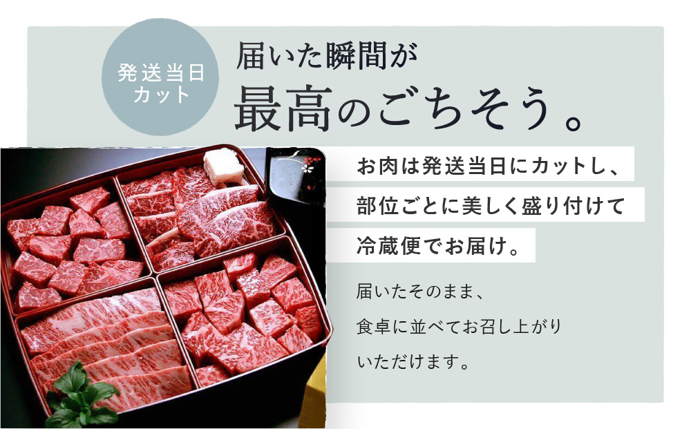 縲仙キ阡オ萓ソ縲代占セー螻九醍・樊虻迚 辟シ閧画千浹 4遞ョ 鬟溘∋豈斐∋ 繧サ繝繝 險600g