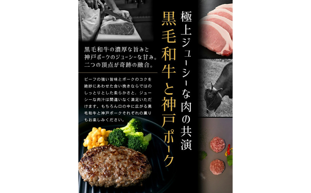 港町神戸の港ハンバーグ 10個入り