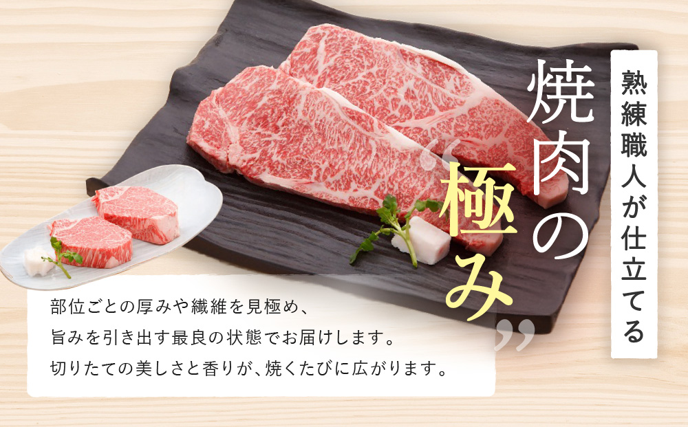 縲仙キ阡オ萓ソ縲代占セー螻九醍・樊虻迚 辟シ閧画千浹 4遞ョ 鬟溘∋豈斐∋ 繧サ繝繝 險600g
