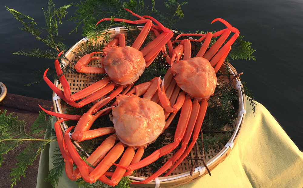 【ふるさと納税】かに ふりかけ 3袋 セット ( 紅ズワイの香ばしい焼がに味 ) 生ふりかけ まとめ買い 大容量 澤田食品 ごはんのお供 ご飯のお供 ふりかけグランプリ 金賞 蟹 カニ 送料無料