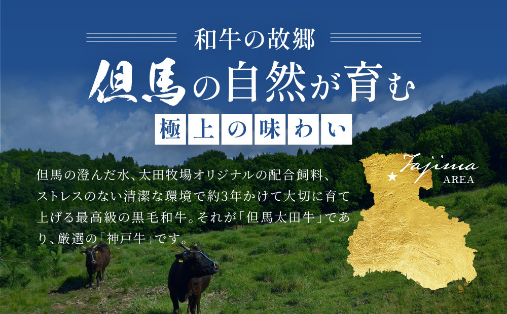 訳あり 神戸牛 サイコロステーキ ロース・かたロース・かた・もも 500g KBDS3