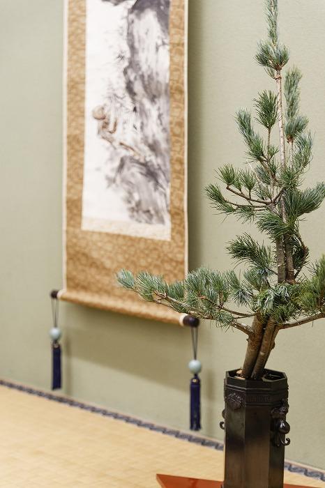 ãæŸå»Œå®¶ã壜æç³ã©ã³ããã³ãŒã¹ïŒã«ã¡ã©ãã³æ®åœ±ä»ïŒ1æ¥2çµéå®ïŒ