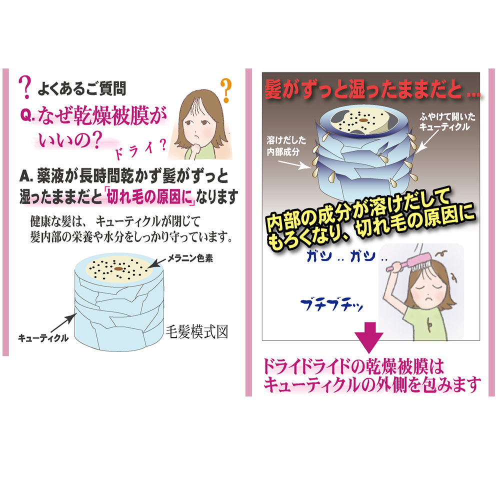 【黒髪向け】医薬部外品 育毛・発毛促進剤 ドライドライド クイックインパクト 120mL