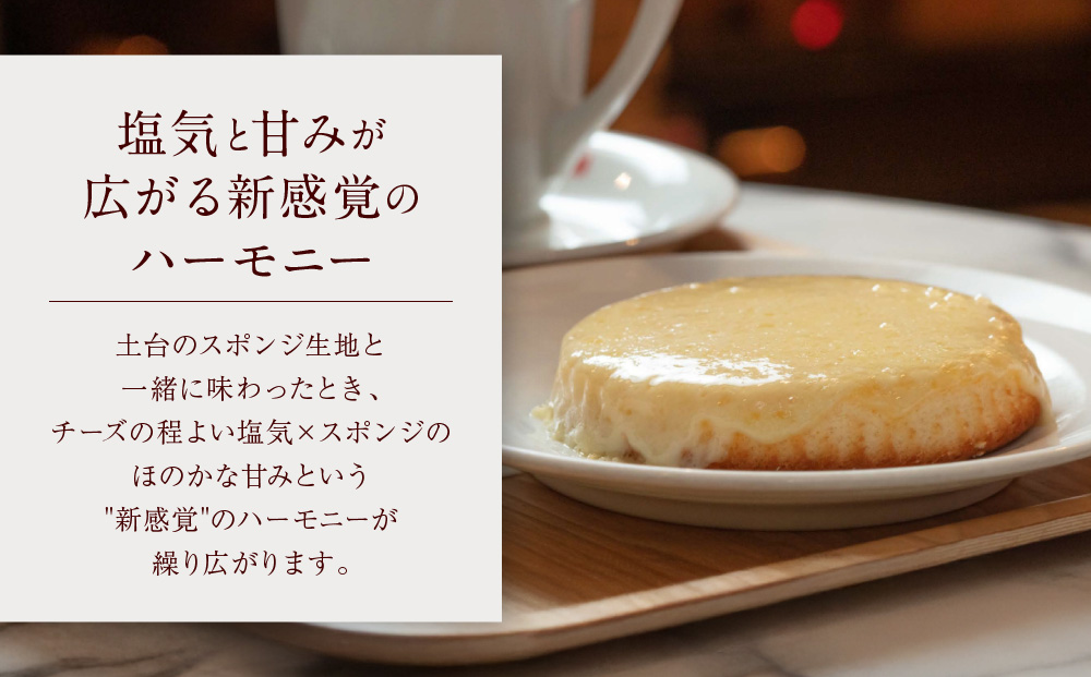 【観音屋】デンマークチーズケーキ　6個入り