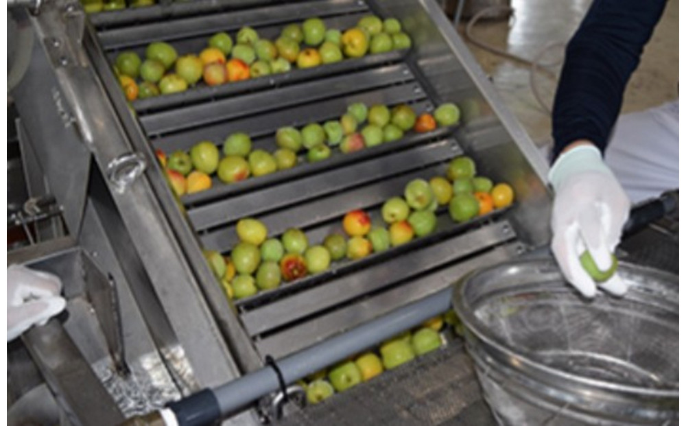 逋ス鮓エ 譴驟貞次驟 720ml逑カ x 2譛ャ