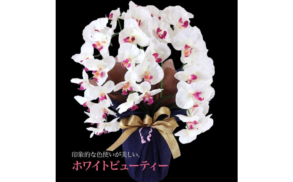 譫ッ繧後↑縺繧「繝シ繝繧」繝輔ぅ繧キ繝」繝ォ繝輔Λ繝ッ繝シ 閭。陜カ陂ュ 3譛ャ遶九■ 繝帙Ρ繧、繝医ン繝・繝シ繝繧」SC隗ヲ蟐貞刈蟾・貂