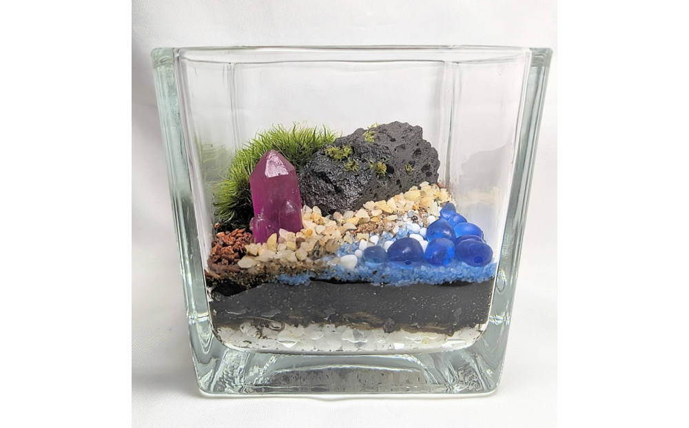 ポートの記憶、テラリウムに