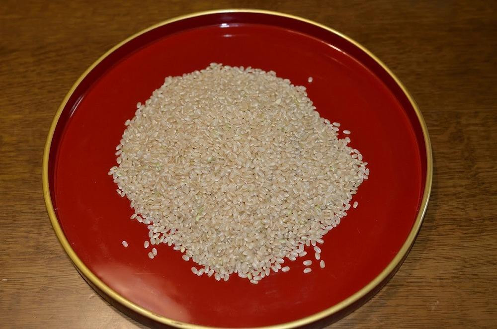 神戸市産　生産農家の「コシヒカリ」（精米9キロ）【2025年産】