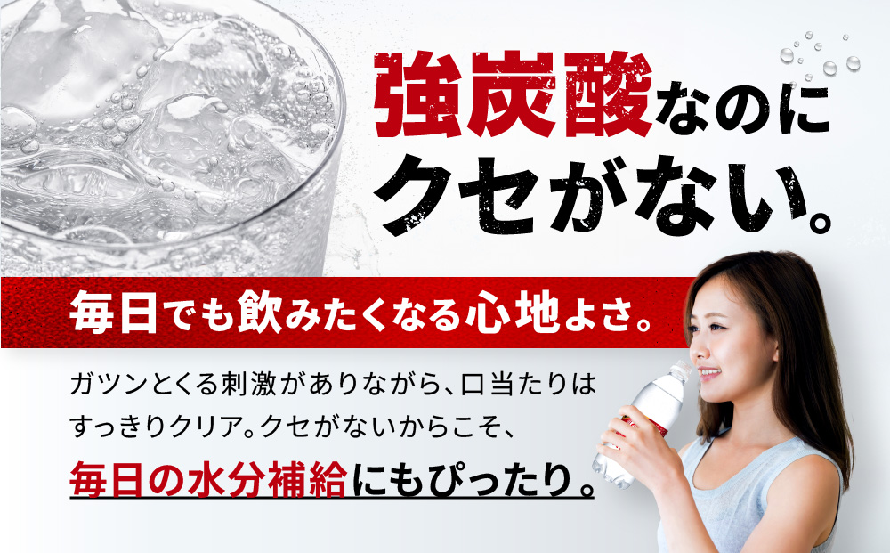 アサヒ飲料 ウィルキンソン タンサン（500mlペットボトル×24本×2箱）