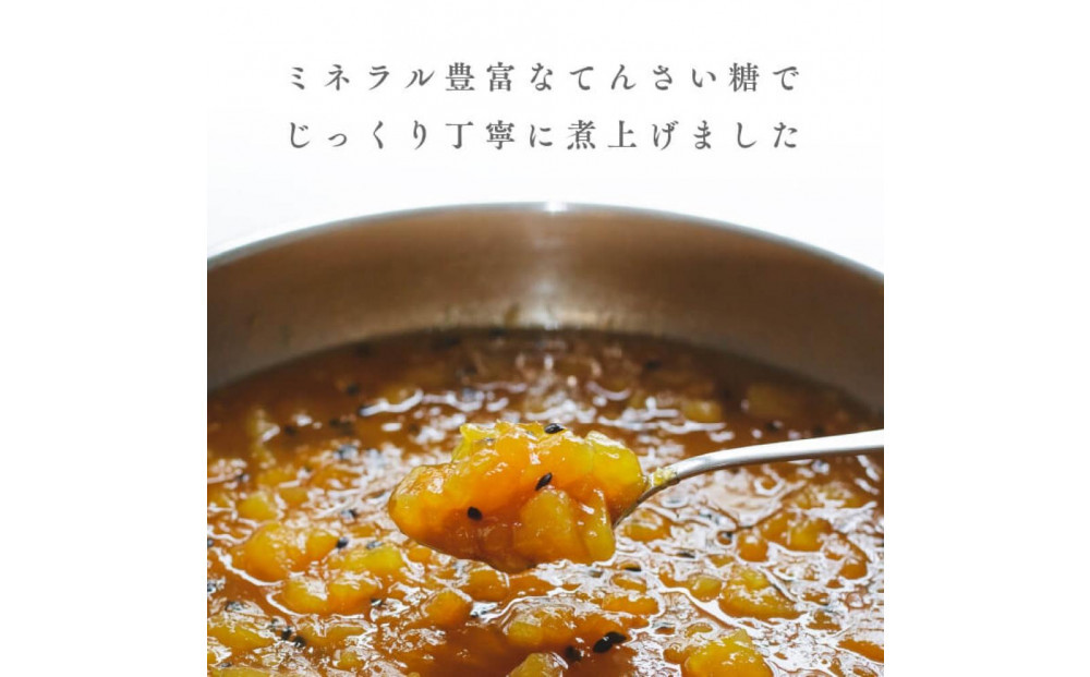田田田堂　『お米のジェラート 国産いちご入りセット 8個入（4種×各2個）』 天然麹で発行させた甘酒の「ヴィーガンジェラート」