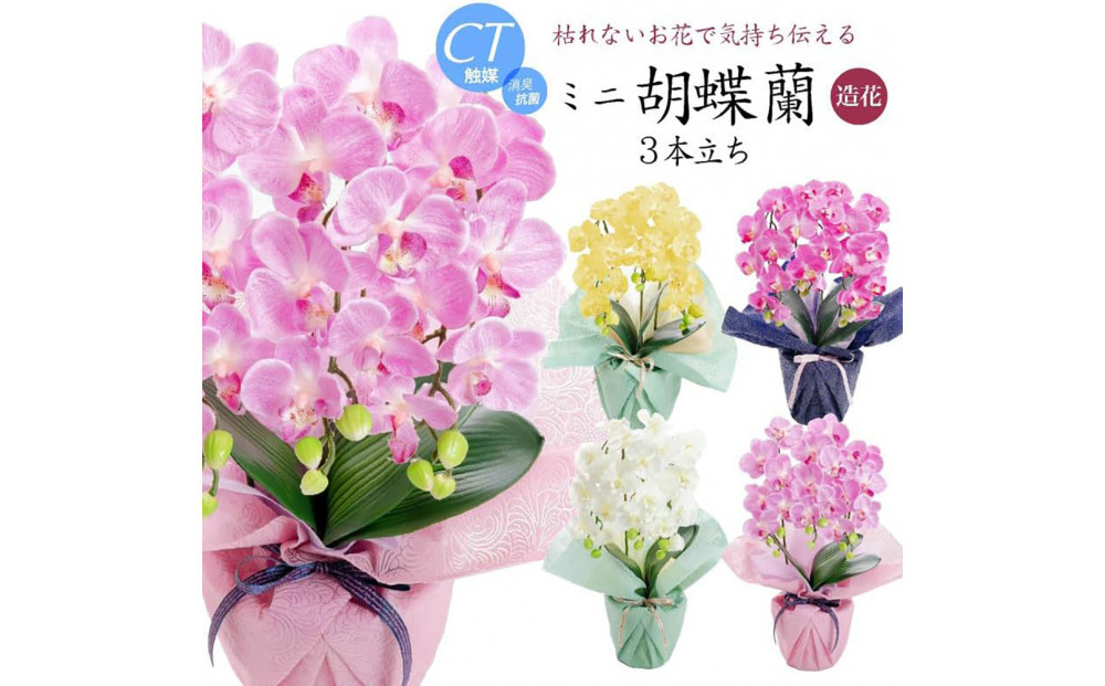 譫ッ繧後↑縺繧「繝シ繝繧」繝輔ぅ繧キ繝」繝ォ繝輔Λ繝ッ繝シ 繝溘ル閭。陜カ陂ュ 3譛ャ遶九■ 繝輔Ξ繝繧キ繝・繝斐Φ繧ッ SC隗ヲ蟐貞刈蟾・貂