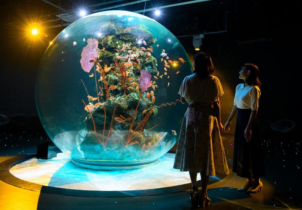 AQUARIUM × ART atoa　入場引換券（2名様）