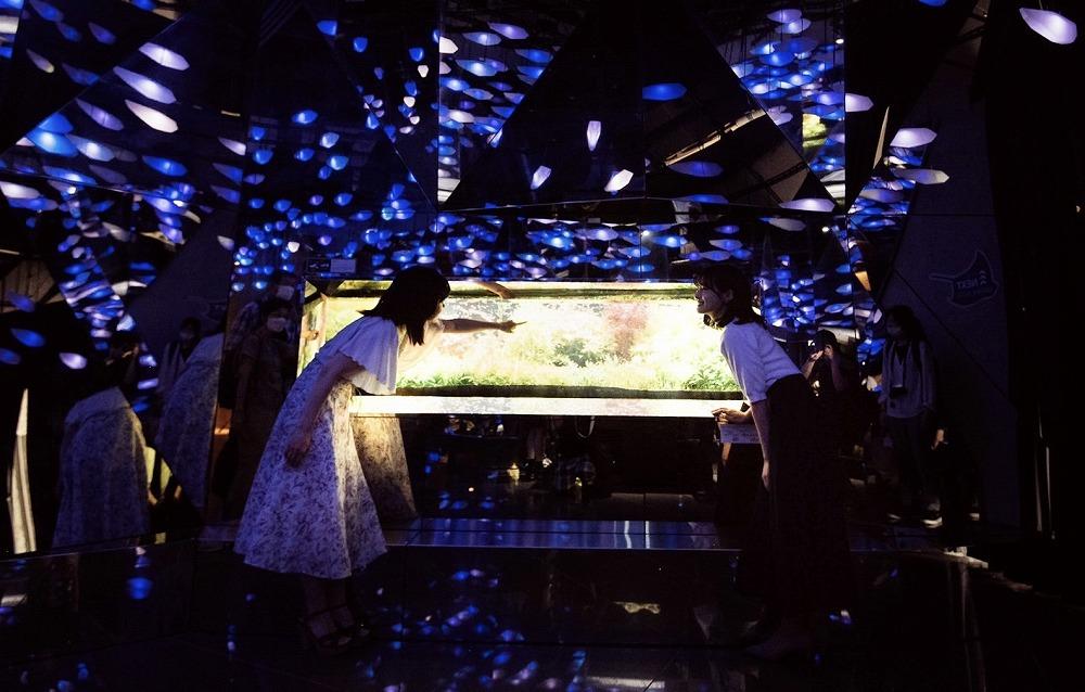 AQUARIUM テ ART atoa縲蜈・蝣エ蠑墓鋤蛻クシ2蜷肴ァ假シ