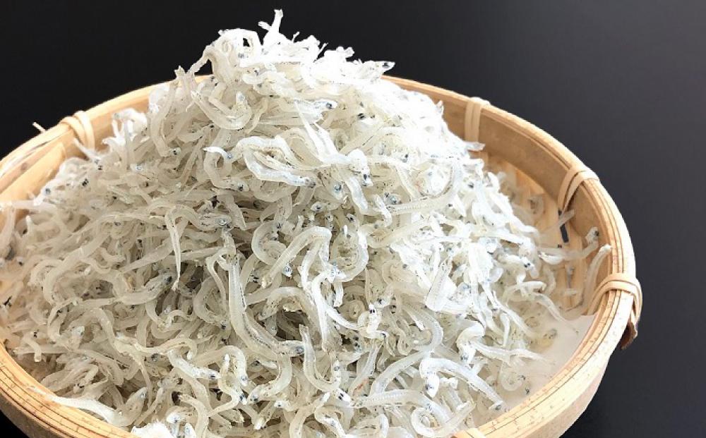 逾樊虻荳ュ螟ョ蜊ク螢イ蟶ょエ縲逶ョ蛻ゥ縺阪ョ繝励Ο縺悟宍驕ク縲縺。繧翫a繧薙§繧縺